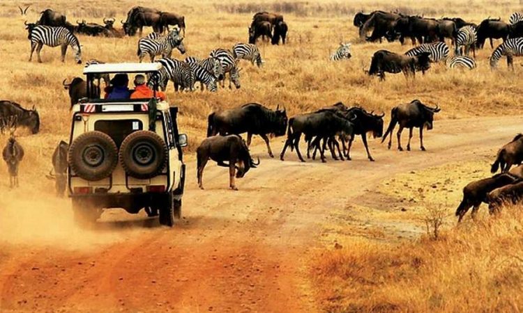 Kenya, Tanzania & Zanzibar Combined Safari