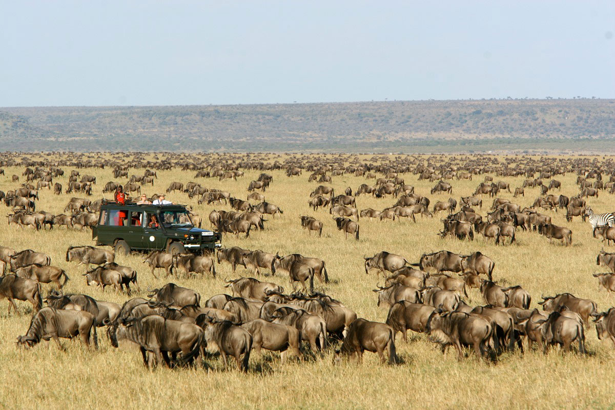 5 Days 4 nights Kenya Safari Package