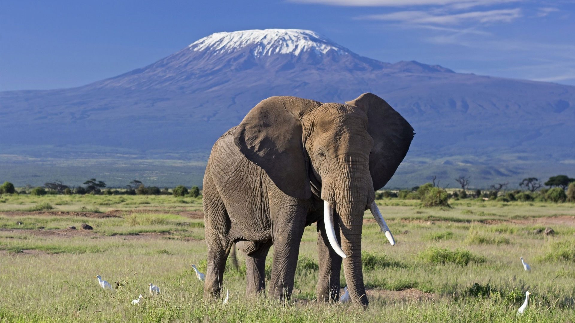 3 DAYS 2 NIGHTS AMBOSELI