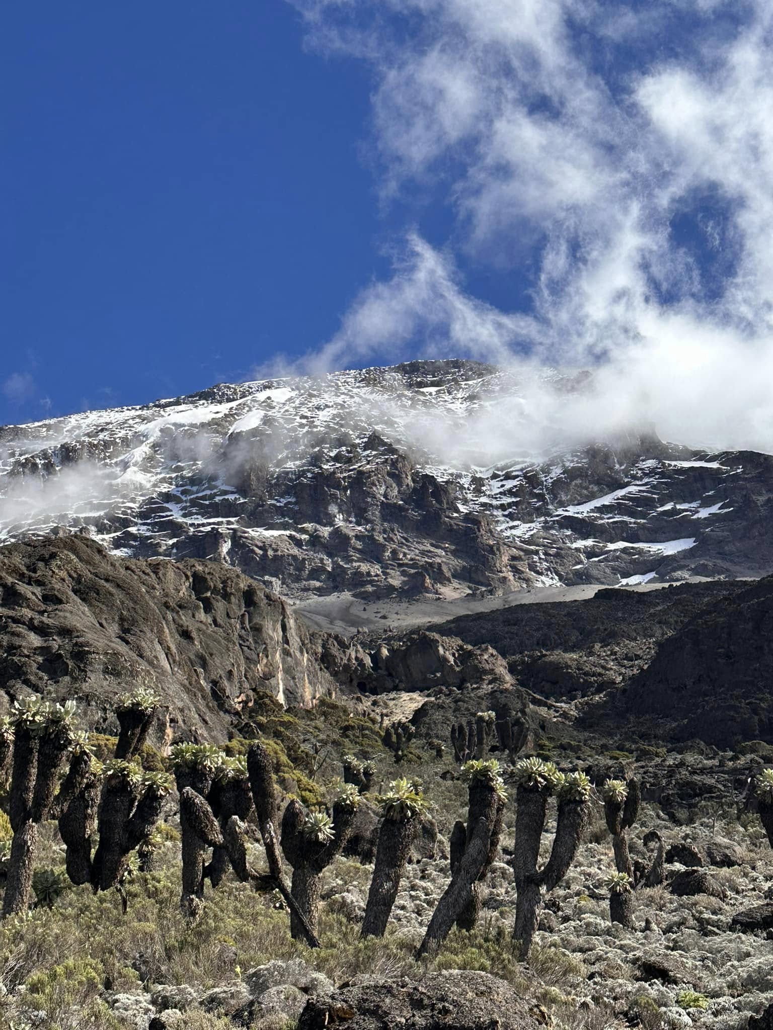 Mount Kenya Naro Moru Route(5 Days) 